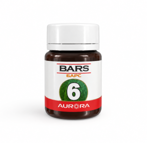 БАРС (BARS)- 6